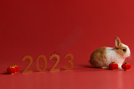 可爱小兔子2023年兔年形象背景图片