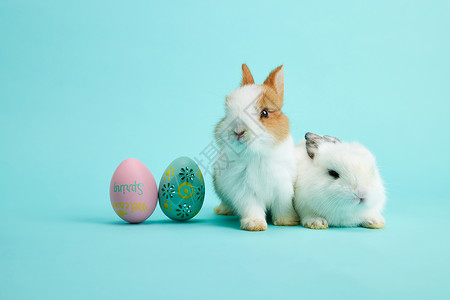 画兔年简笔两只小兔子与复活节彩蛋背景