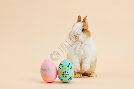 兔年邮票刮画小兔子与复活节彩蛋背景