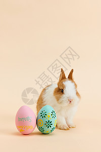 画兔年简笔小兔子与复活节彩蛋背景