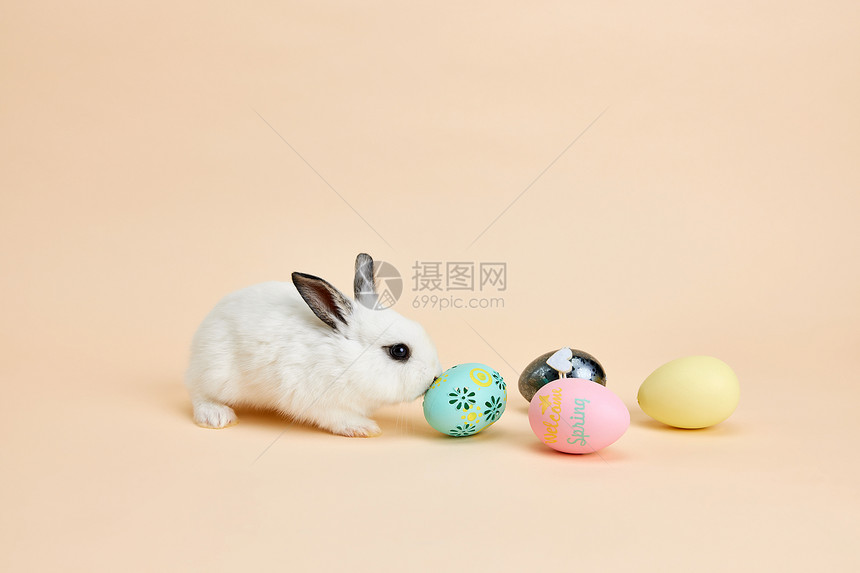 可爱小兔子与复活节彩蛋图片