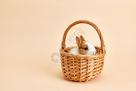 坐在竹篮里的可爱小兔子高清图片