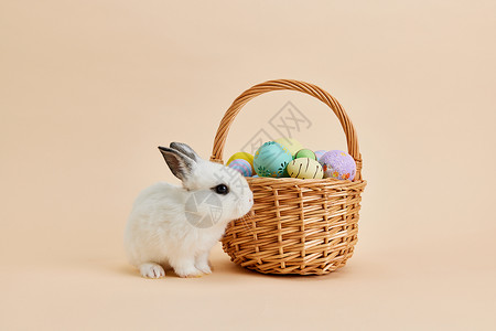 复活节彩蛋小兔子形象背景图片
