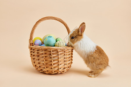 复活节彩蛋与可爱兔子图片