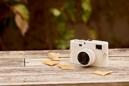 秋日长椅上的照相机与落叶图片
