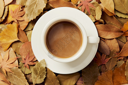 咖啡和落叶季节性叶子高清图片