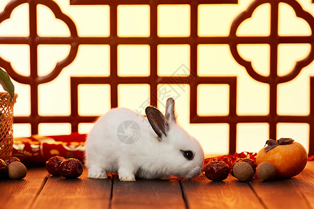 可爱兔年喜庆新年静物背景图片
