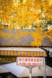 北京胡同里的银杏氛围感背景图片