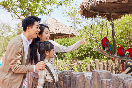 动物园游玩海报幸福一家人在动物园观赏鸟类背景