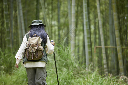 年轻女性竹林里面徒步背影背景图片