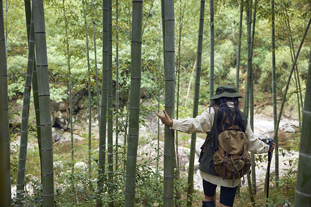 年轻女性竹林里开心徒步背影图片