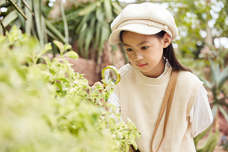 在植物园使用放大镜观察的小女孩图片