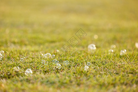 草地上的泡泡背景图片