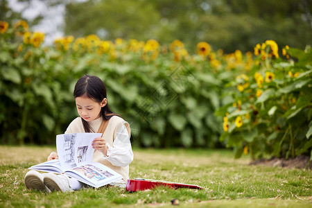 快乐秋天向日葵花田里看书的小女孩背景