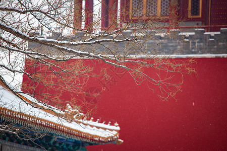 大雪后浪漫唯美的紫禁城故宫图片