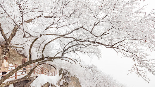 河南老君山银装素裹雪景图片