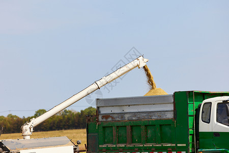 秋天稻田收割机器高清图片