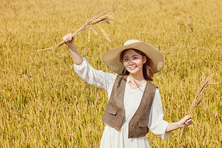 秋季稻田里手拿水稻的青年美女图片