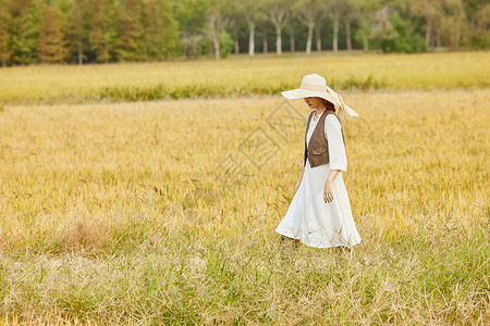 在稻田里玩耍的女性图片