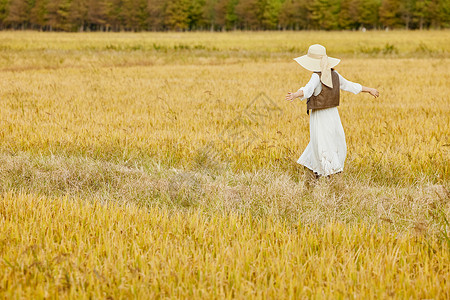 在秋季清楚着陆在稻田散步的美女背影背景