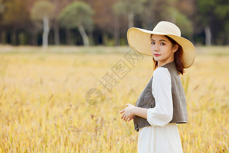 帽照间秋季在稻田间玩耍的美女背景