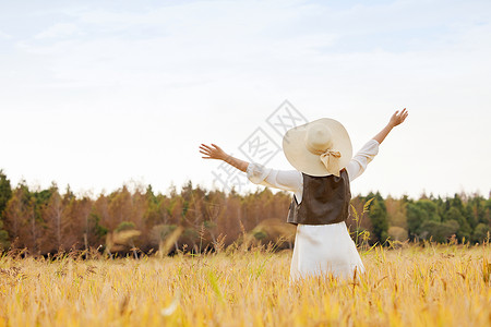 秋天散步稻田里的美女张开双手享受自然背影背景