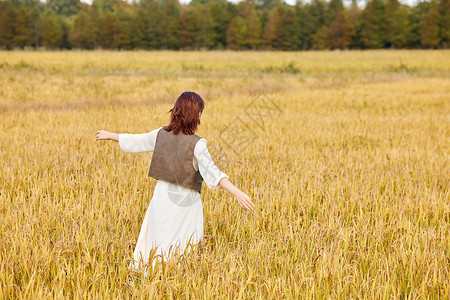 秋天在稻田散步的美女背影图片