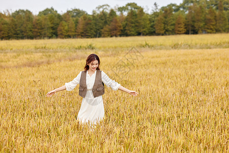 秋季在稻田散步郊游的美女图片