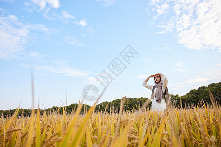 穿着连衣裙在稻田里郊游的美女图片