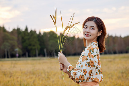 漫步的少女黄昏稻田里手拿水稻的少女背景