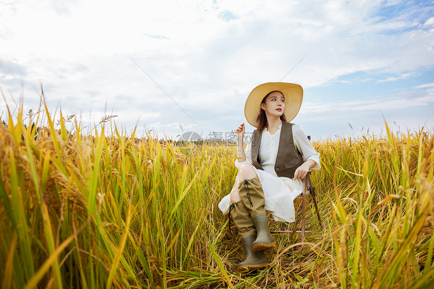 秋季在稻田休闲的女性图片