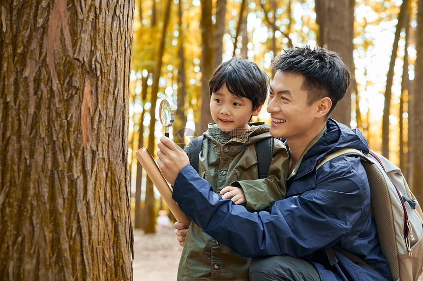 爸爸带儿子观察丛林里的树木图片
