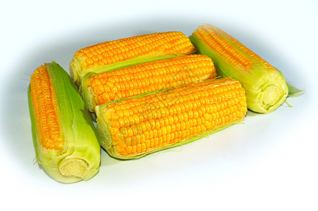 绿叶之间在CornOnt图片
