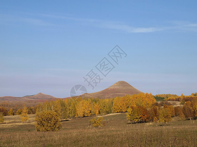 山和树秋天图片