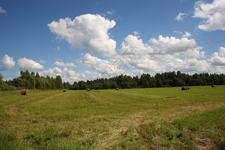农村地貌田野的背景图片