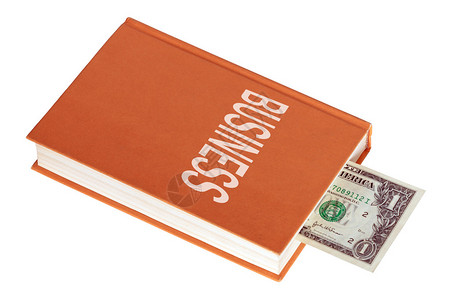 书内一美元钞票标图片