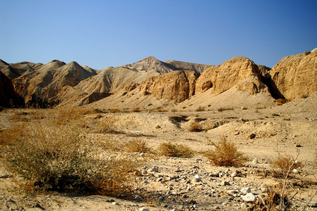 在阿拉瓦沙漠以色列石图片