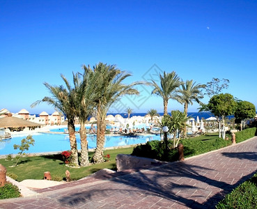 在埃及马卡迪湾旅馆的游图片