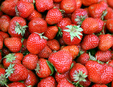 新鲜的大草莓关闭背景图片
