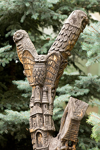 大老木猫头鹰雕像图片