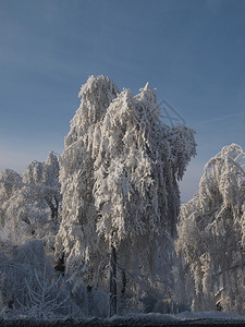 冬天的风景图片