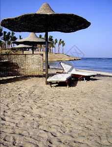 埃及海滩图片