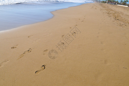 海滩波浪和脚步声图片