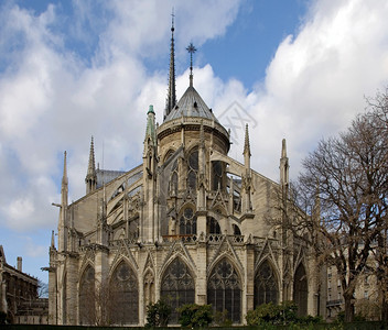 法国巴黎圣母大教堂的后视图片