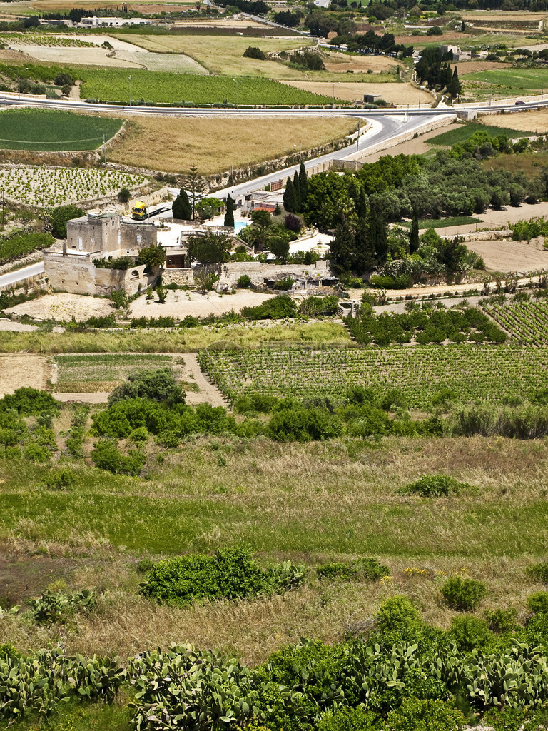 马耳他农村场在田间以立图片