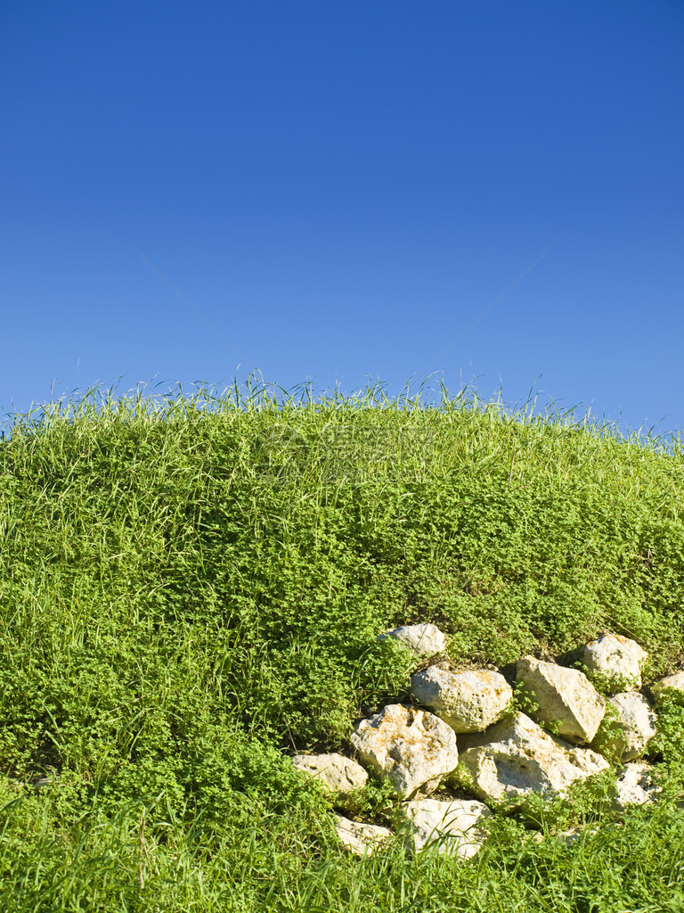 蓝天上鲜艳的野绿草展示瓦砾墙图片