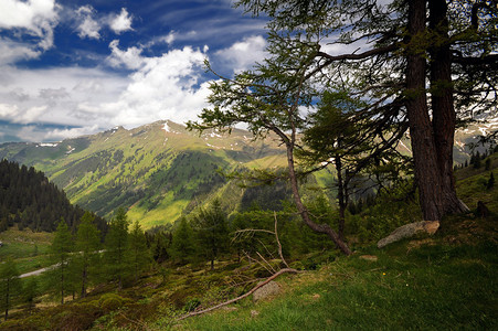 奥地利索尔克山口附近的阿高清图片