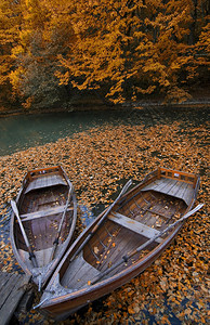 秋天的小船有划船的有很多叶子的图片