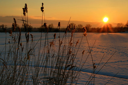 冬天美丽的日落图片