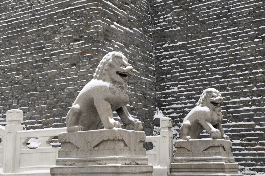 雪后的狮子雕像和旧墙图片